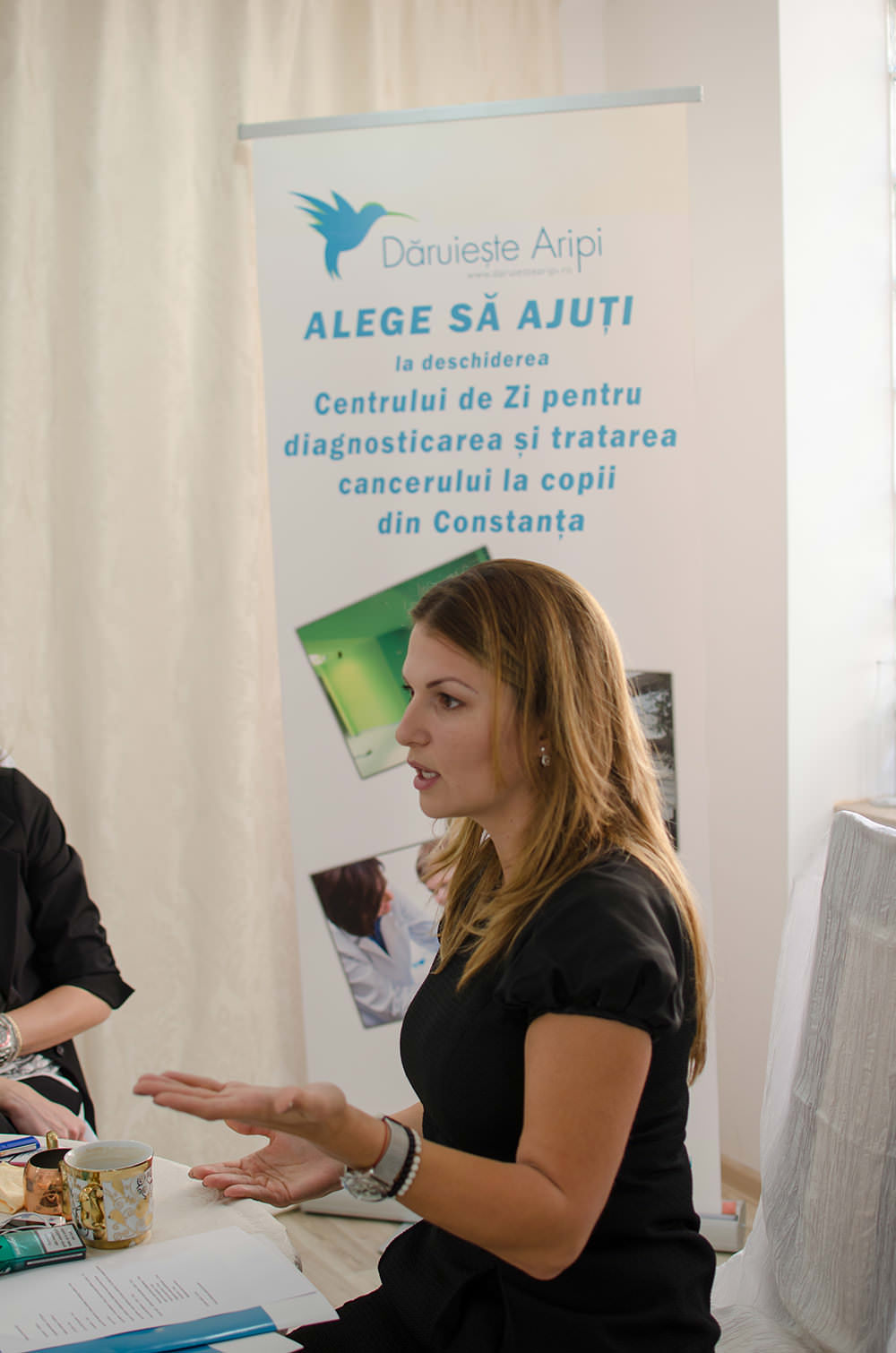 alina vasea constanta